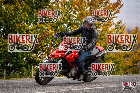 Forca d Acero 18-10-25 h11-28 0064