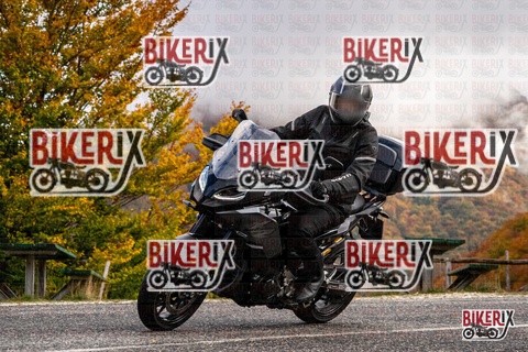 Forca d Acero 18-10-25 h11-28 0067