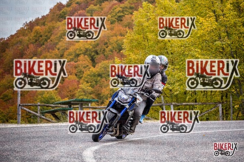 Forca d Acero 18-10-25 h11-29 0071