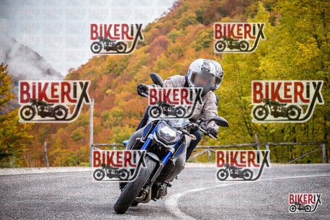 Forca d Acero 18-10-25 h11-29 0073