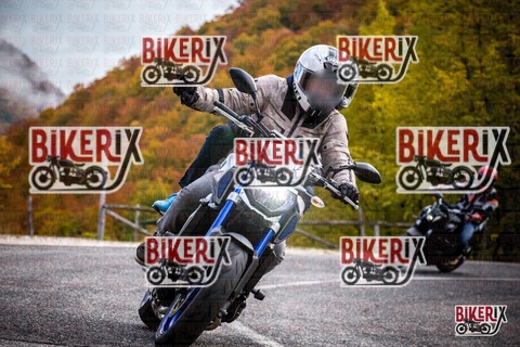 Forca d Acero 18-10-25 h11-29 0074