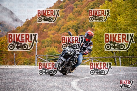 Forca d Acero 18-10-25 h11-29 0075