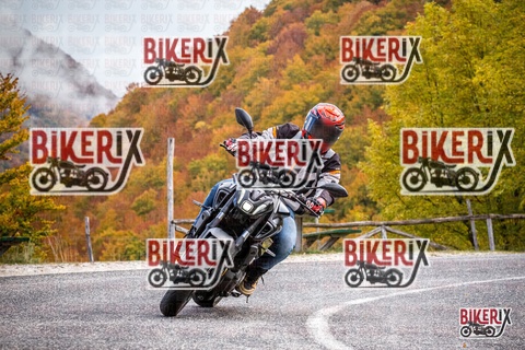 Forca d Acero 18-10-25 h11-29 0076