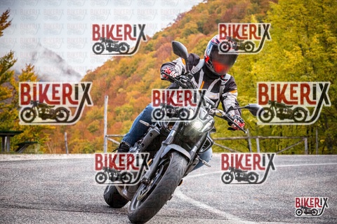 Forca d Acero 18-10-25 h11-29 0078