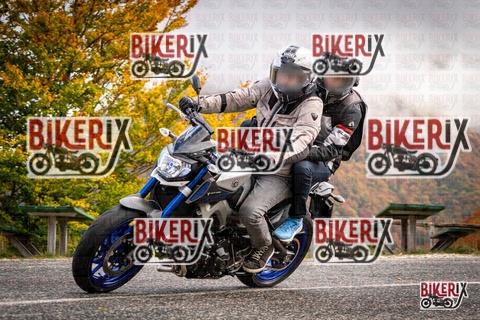 Forca d Acero 18-10-25 h11-29 0079