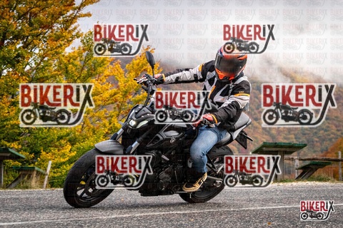 Forca d Acero 18-10-25 h11-29 0081