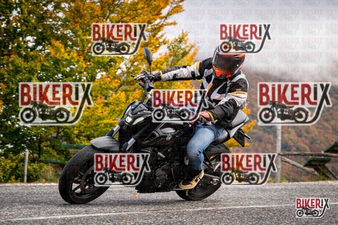 Forca d Acero 18-10-25 h11-29 0082