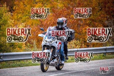 Forca d Acero 18-10-25 h11-38 0086