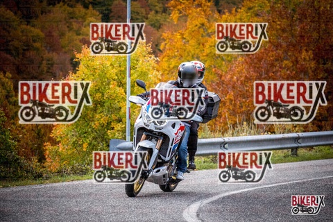 Forca d Acero 18-10-25 h11-38 0087