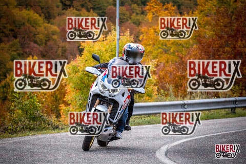 Forca d Acero 18-10-25 h11-38 0088