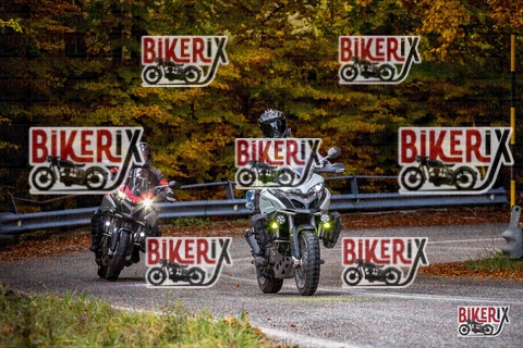 Forca d Acero 18-10-25 h11-42 0098