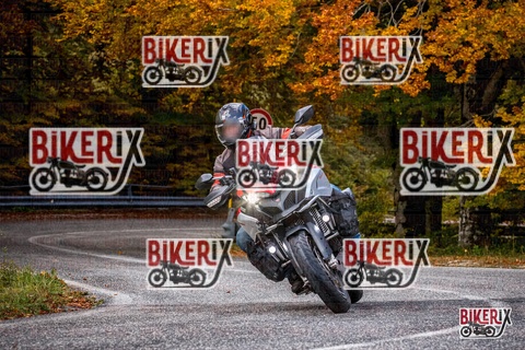 Forca d Acero 18-10-25 h11-42 0103