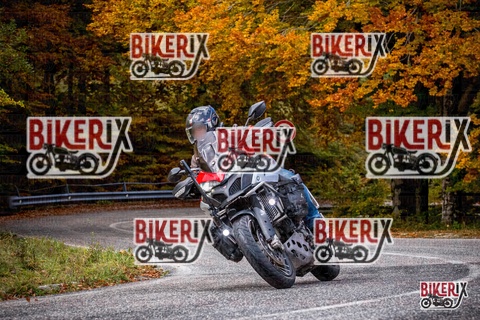 Forca d Acero 18-10-25 h11-42 0104