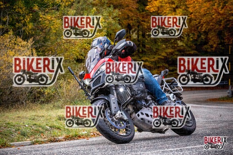 Forca d Acero 18-10-25 h11-42 0105