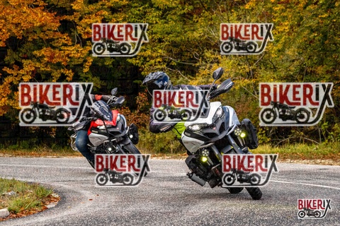 Forca d Acero 18-10-25 h11-42 0108