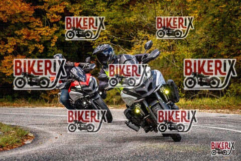 Forca d Acero 18-10-25 h11-42 0109