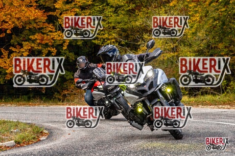 Forca d Acero 18-10-25 h11-42 0110