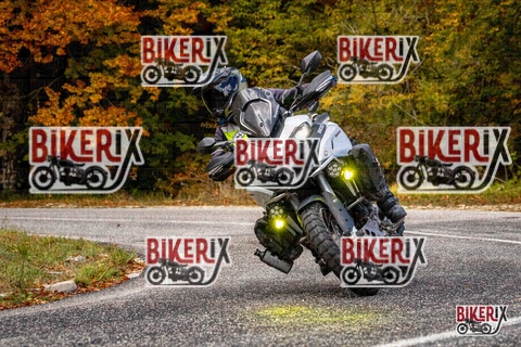 Forca d Acero 18-10-25 h11-42 0112