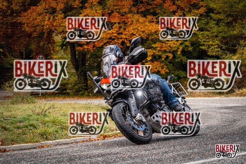 Forca d Acero 18-10-25 h11-42 0113