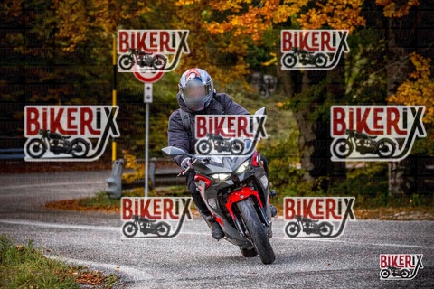 Forca d Acero 18-10-25 h11-42 0114