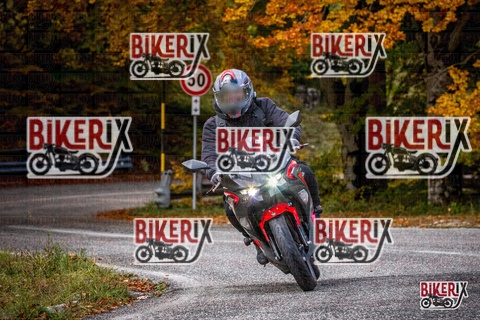 Forca d Acero 18-10-25 h11-42 0115