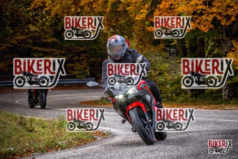 Forca d Acero 18-10-25 h11-42 0116