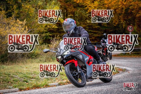 Forca d Acero 18-10-25 h11-42 0117