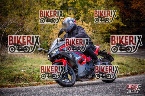 Forca d Acero 18-10-25 h11-42 0118