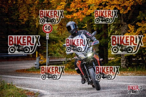 Forca d Acero 18-10-25 h11-42 0119