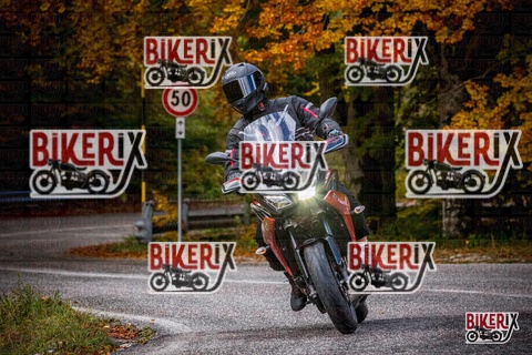 Forca d Acero 18-10-25 h11-42 0120