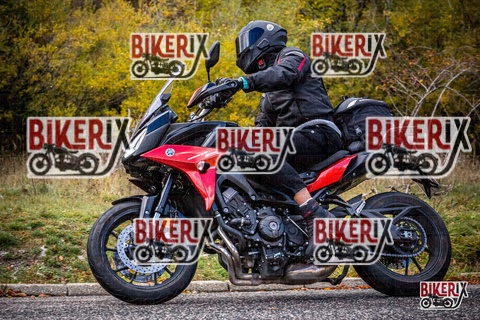 Forca d Acero 18-10-25 h11-42 0124