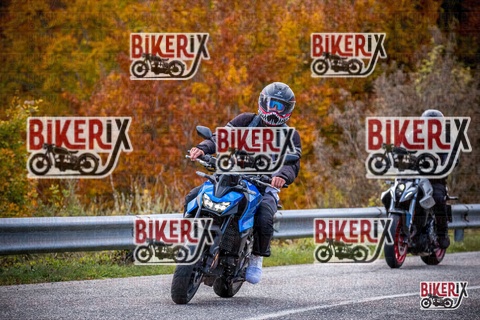 Forca d Acero 18-10-25 h11-55 0180