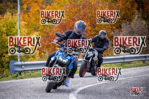 Forca d Acero 18-10-25 h11-55 0181