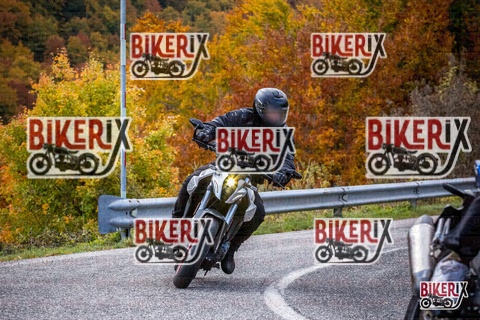 Forca d Acero 18-10-25 h11-55 0183