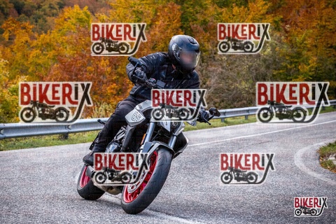 Forca d Acero 18-10-25 h11-55 0184