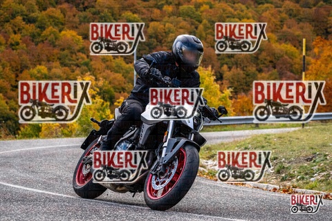 Forca d Acero 18-10-25 h11-56 0190