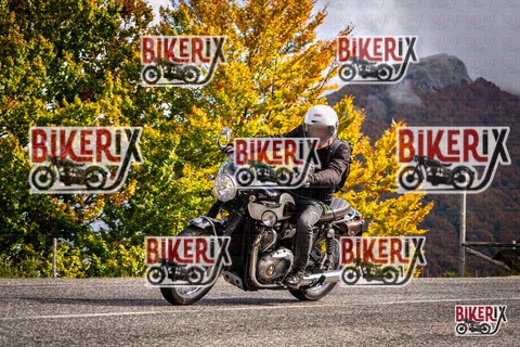 Forca d Acero 18-10-25 h12-10 0209