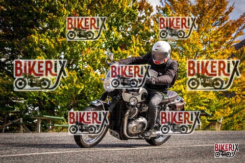 Forca d Acero 18-10-25 h12-10 0211