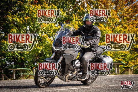 Forca d Acero 18-10-25 h12-12 0222