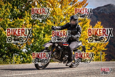 Forca d Acero 18-10-25 h12-14 0228