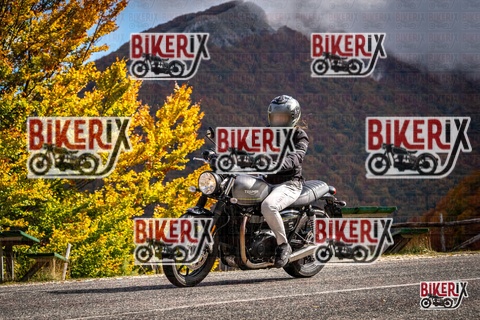 Forca d Acero 18-10-25 h12-14 0231