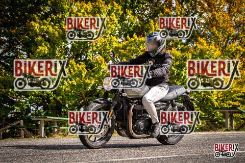 Forca d Acero 18-10-25 h12-15 0235