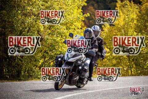 Forca d Acero 18-10-25 h12-17 0244