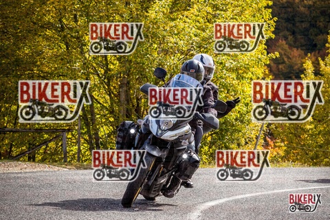 Forca d Acero 18-10-25 h12-17 0246