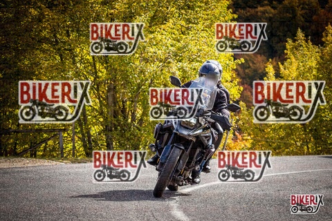 Forca d Acero 18-10-25 h12-17 0249