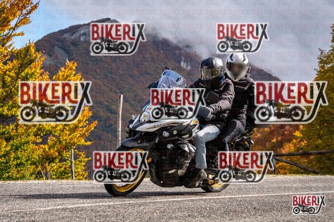 Forca d Acero 18-10-25 h12-17 0252