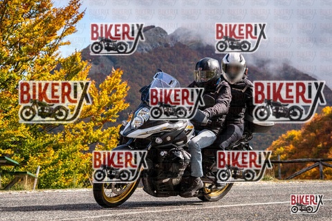 Forca d Acero 18-10-25 h12-17 0253