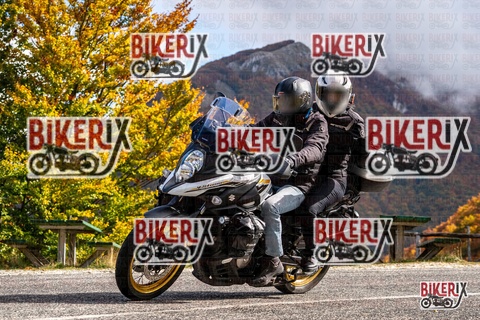 Forca d Acero 18-10-25 h12-18 0254