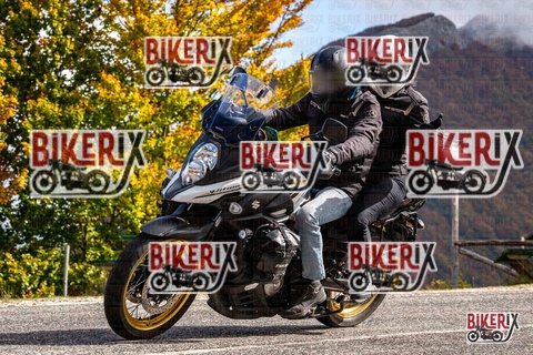 Forca d Acero 18-10-25 h12-18 0255