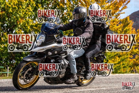 Forca d Acero 18-10-25 h12-18 0257